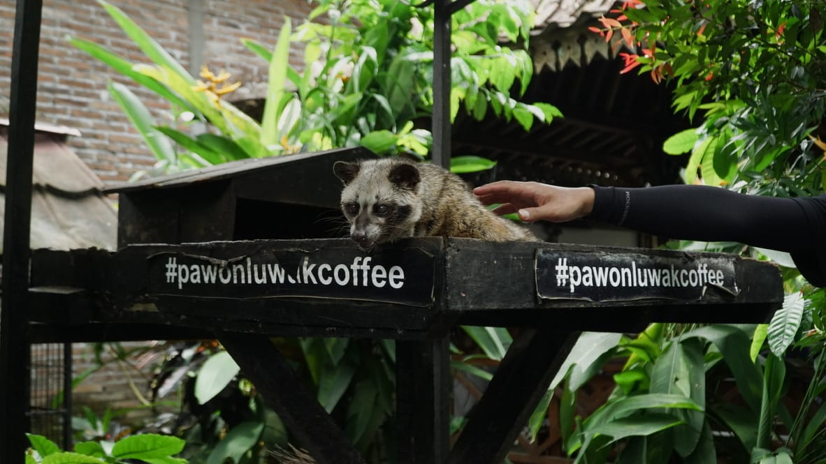 section Majalah Fortune Indonesia background