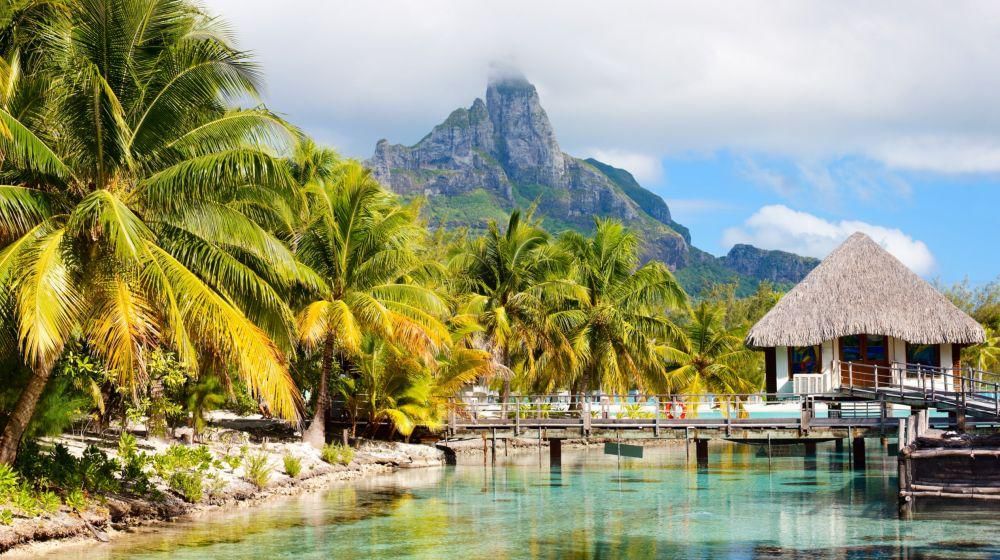 ShutteStock/Blue Orange Studio