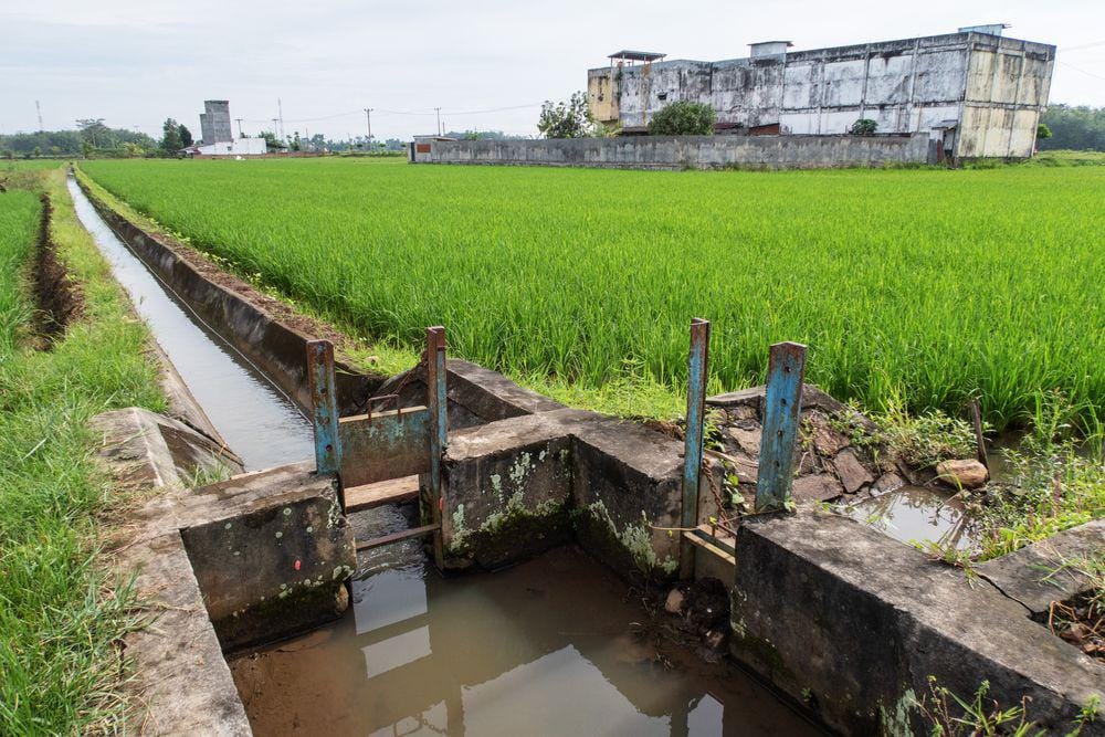 Sistem Irigasi di Indonesia. (ShutterStock/rahmat andriansa)