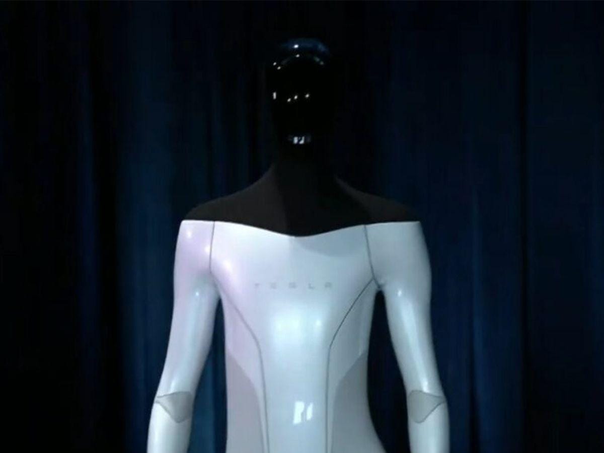 Tesla Bot.(Gamebrott)