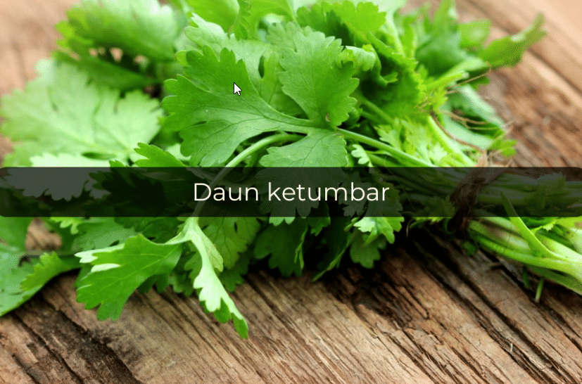 Artikel saham widget